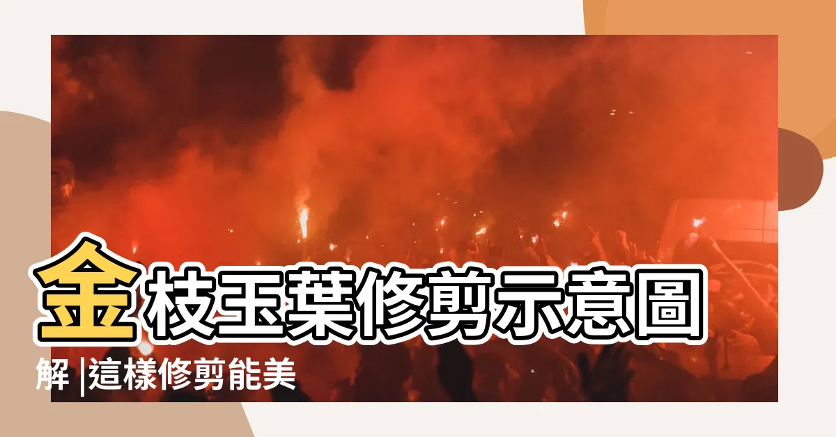【銀杏木修剪】金枝玉葉修剪示意圖解 |這樣修剪能美容 |金枝玉葉如何修剪造型 |