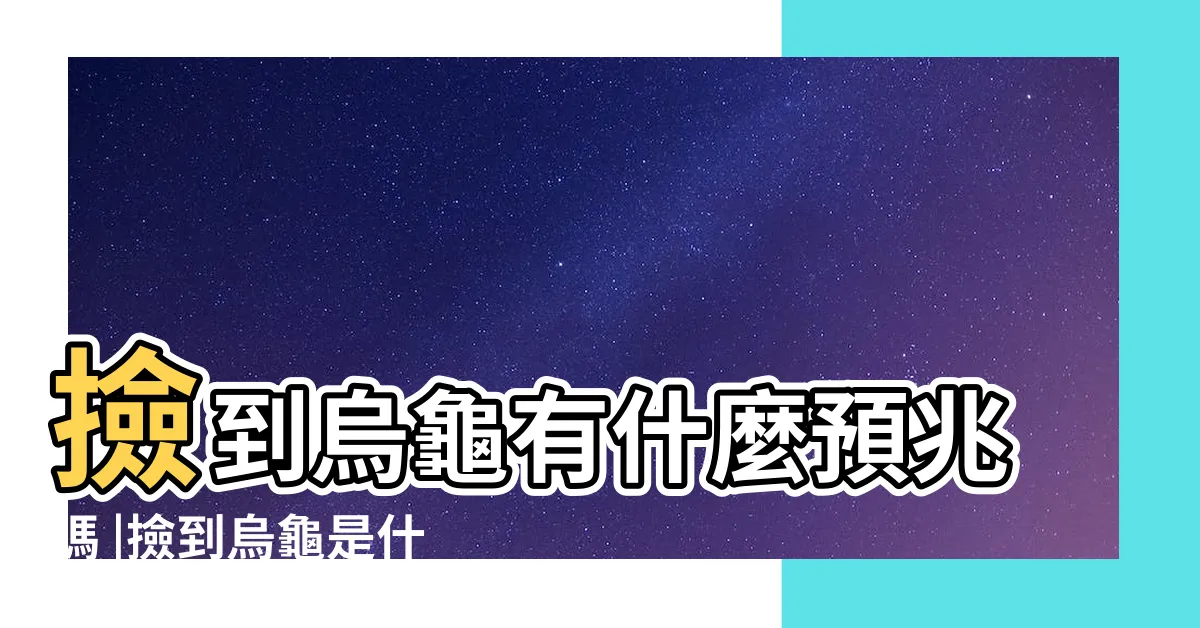【撿到烏龜代表什麼意思】撿到烏龜有什麼預兆嗎 |撿到烏龜是什麼兆頭 |搜索結果 |