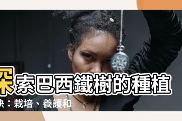 【巴西鐵樹種植】探索巴西鐵樹的種植要訣：栽培、養護和繁殖