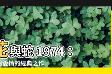 【花與蛇 1974】花與蛇 1974：禁忌愛情的經典之作！
