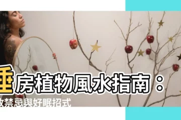 【睡房植物風水】睡房植物風水指南：擺放禁忌與好眠招式公開！