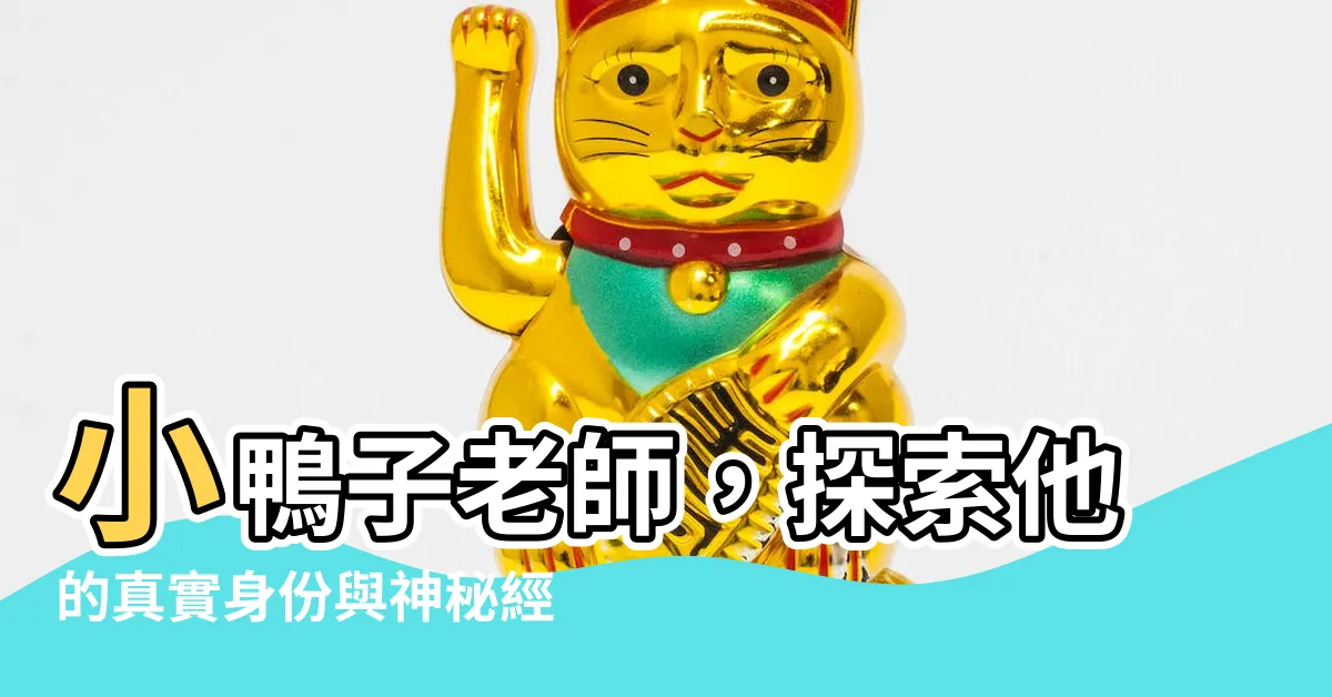 【小鴨子老師維基百科】小鴨子老師，探索他的真實身份與神秘經歷！