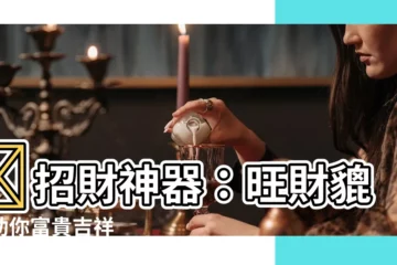 【旺財貔貅】💰招財神器：旺財貔貅助你富貴吉祥