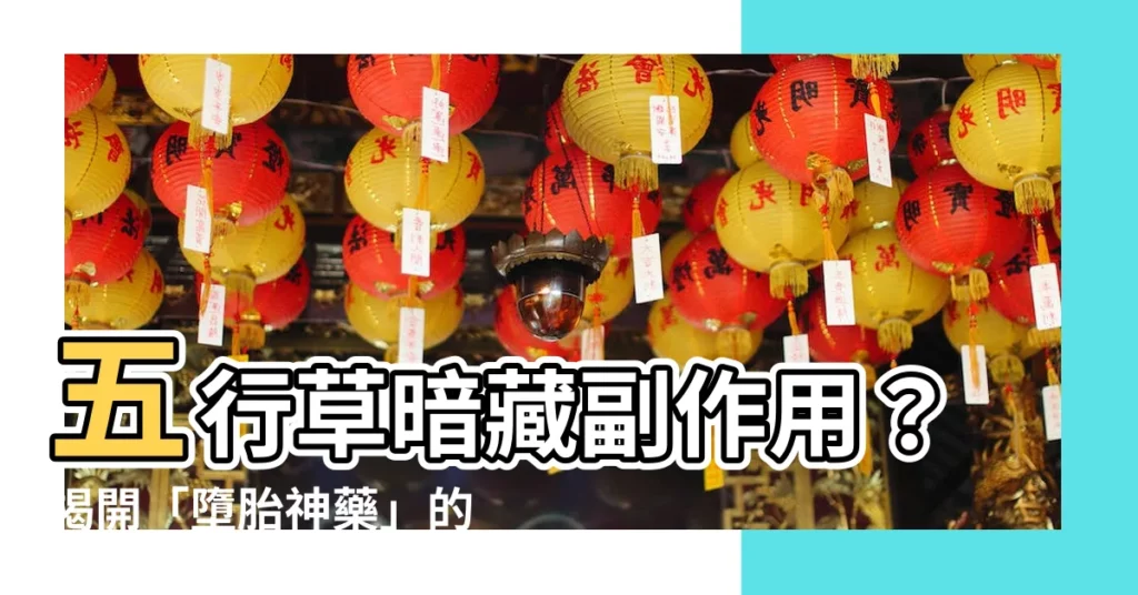 【五行草 副作用】五行草暗藏副作用？揭開「墮胎神藥」的神秘面紗