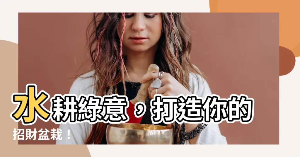 【墨西哥鐵樹水耕】水耕綠意，打造你的招財盆栽！