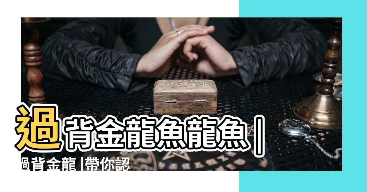 【金龍魚價格】過背金龍魚龍魚 |過背金龍 |帶你認識龍魚行情價 |