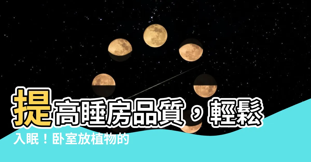 【睡房放植物】提高睡房品質，輕鬆入眠！卧室放植物的秘訣！