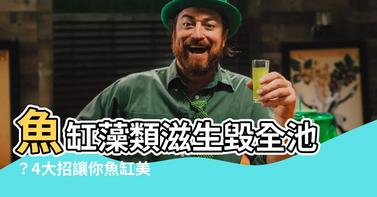【魚缸藻類滋生】魚缸藻類滋生毀全池？4大招讓你魚缸美麗不沾藻！