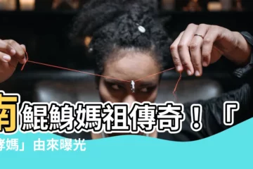 【騎哮媽由來】南鯤鯓媽祖傳奇！「騎哮媽」由來曝光 赤山龍湖巖歡喜安座