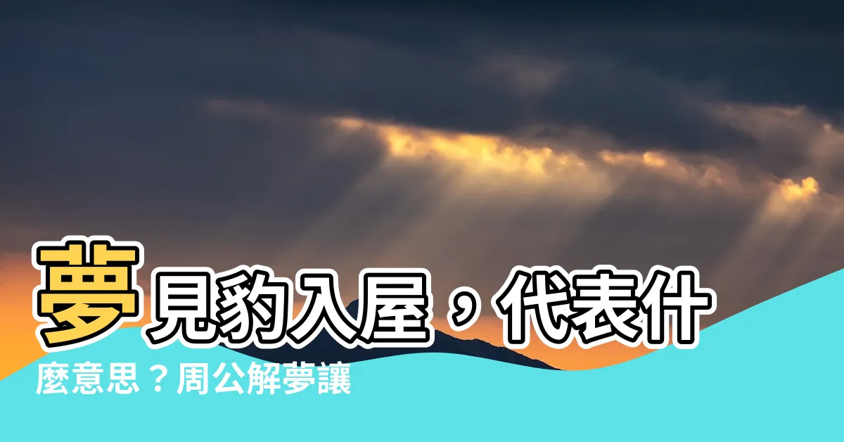 【夢見豹入屋】夢見豹入屋，代表什麼意思？周公解夢讓你一次看懂！