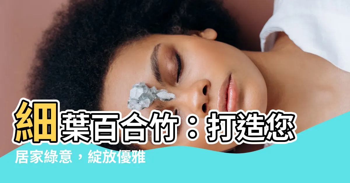 【細葉百合竹】細葉百合竹：打造您居家綠意，綻放優雅花卉