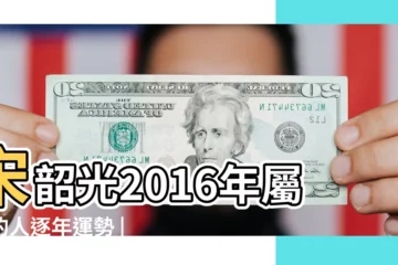 【2016年82年屬狗婚姻運勢】宋韶光2016年屬狗的人逐年運勢 |秦陽明2016年屬狗的財運和桃花運 |屬狗82年2016年的婚姻 |