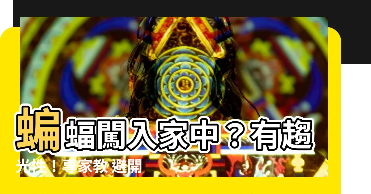 【蝙蝠趨光】蝙蝠闖入家中？有趨光性！專家教 避開蝙蝠的方法在此