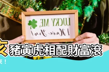【亥豬寅虎】亥豬寅虎相配財富滾滾來！