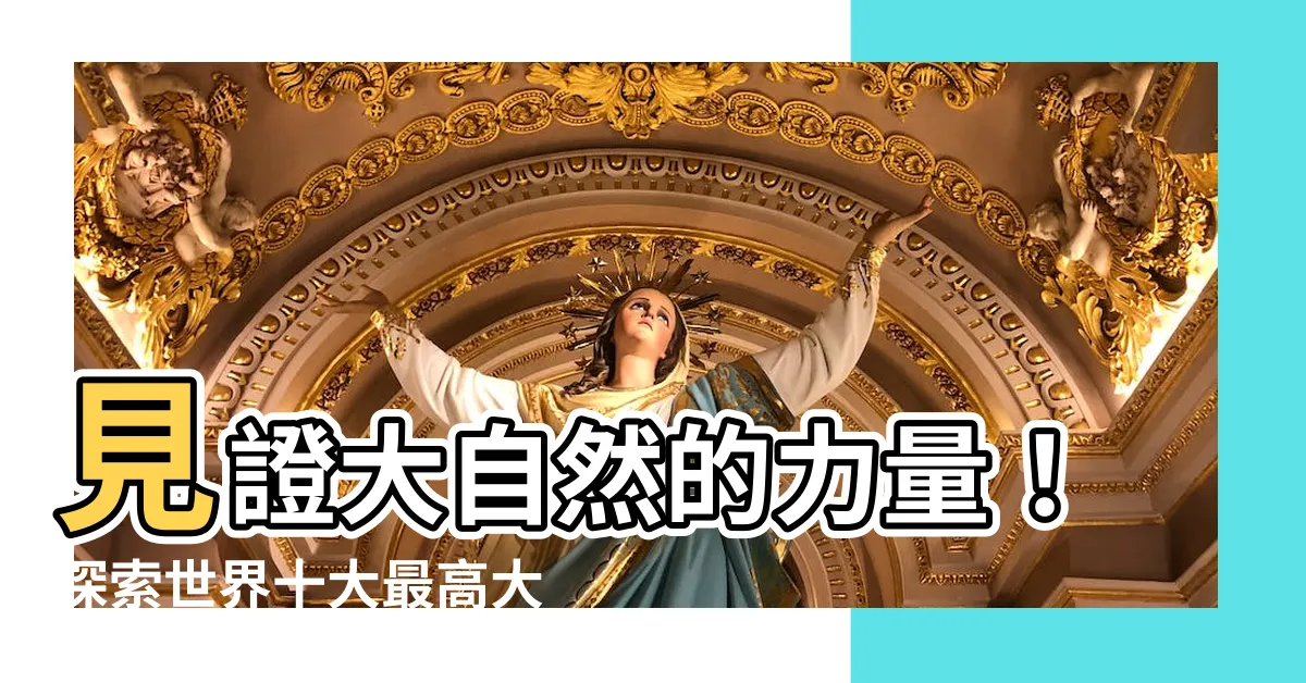 【大樹木】見證大自然的力量！探索世界十大最高大樹木
