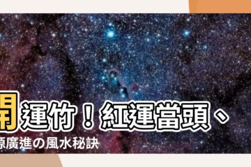 【開運竹】開運竹！紅運當頭、財源廣進の風水秘訣，一手掌握！