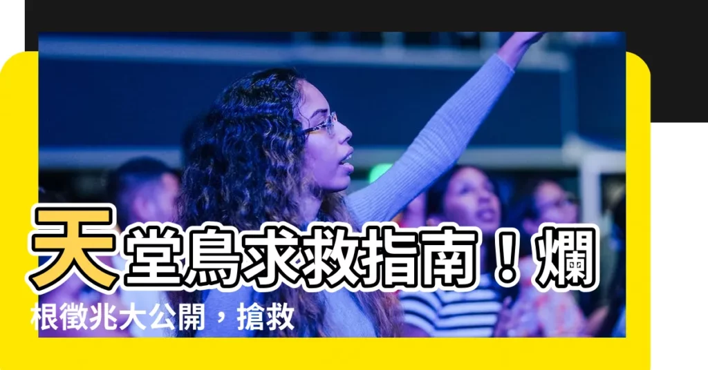 【天堂鳥爛根】天堂鳥求救指南！爛根徵兆大公開，搶救愛鳥快看過來