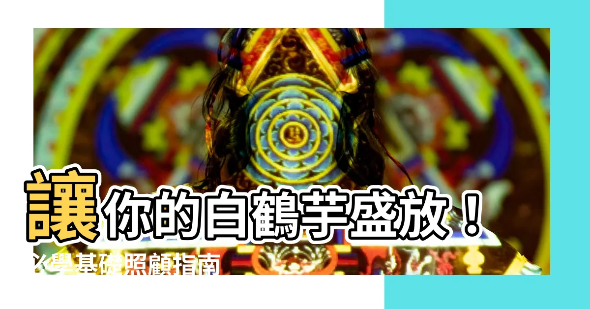 【白鶴芋】讓你的白鶴芋盛放！必學基礎照顧指南