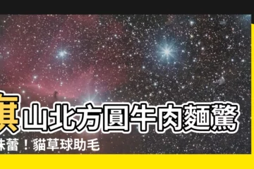 【旗山北方圓】旗山北方圓牛肉麵驚豔味蕾！貓草球助毛孩健康又有活力