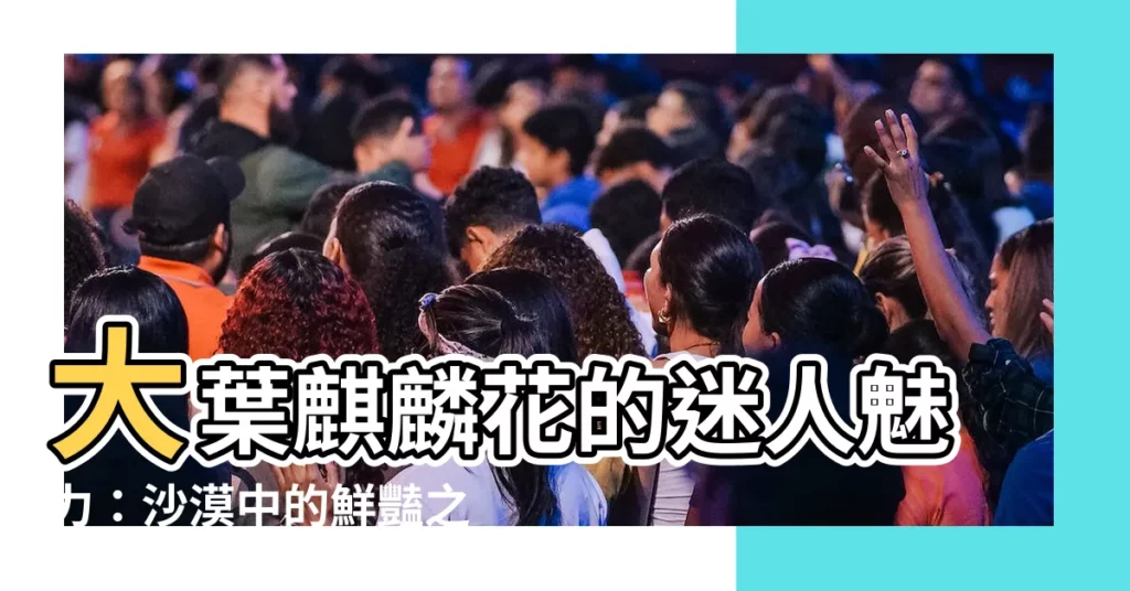 【大葉麒麟花】大葉麒麟花的迷人魅力：沙漠中的鮮豔之星