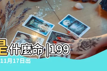【1995年11月17日命運】是什麼命 |1995年11月17日出生的人命好嗎 |1995年11月17日八字算財運事業 |