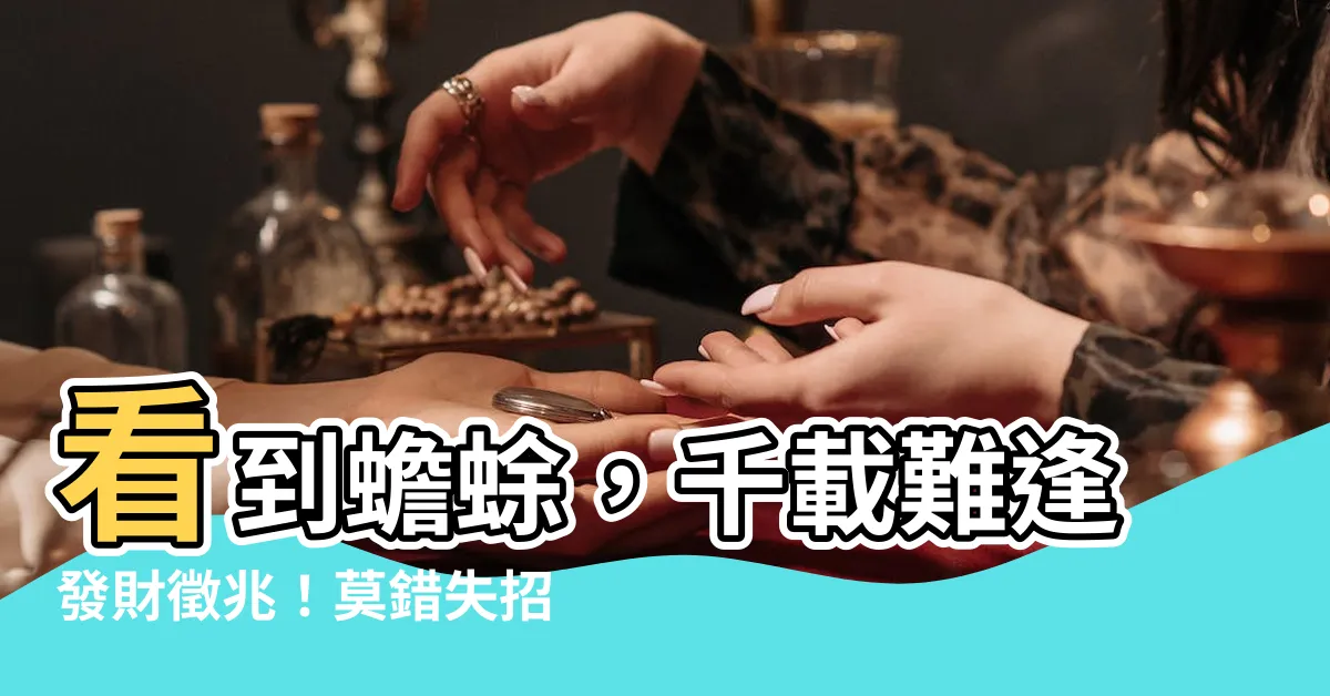 【看到蟾蜍】看到蟾蜍，千載難逢發財徵兆！莫錯失招財入庫好時機