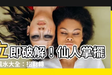 【仙人掌擺放】立即破解！仙人掌擺放風水大全：招財轉運就趁現在！