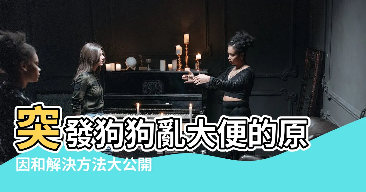 【狗狗突然亂大便】突發狗狗亂大便的原因和解決方法大公開！