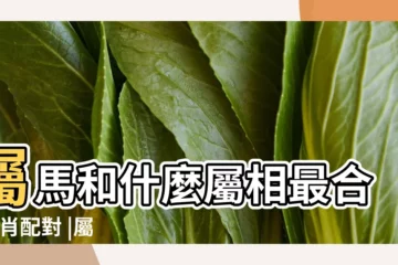 【屬馬和什麼屬相最配】屬馬和什麼屬相最合 |生肖配對 |屬馬的和什麼屬相最配 |