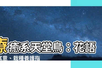 【天堂鳥 花語】療癒系天堂鳥：花語解寓意、栽種養護指南與風水擺放秘訣