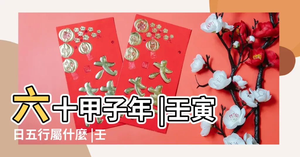 六十甲子年 |壬寅日五行屬什麼 |壬寅年五行屬什麼 |【壬寅 五行】