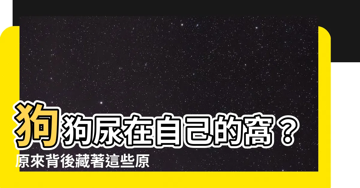 【狗狗尿在自己的窩】狗狗尿在自己的窩？原來背後藏著這些原因！