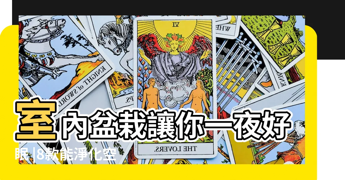 【卧室淨化空氣植物】室內盆栽讓你一夜好眠 |8款能淨化空氣 |8款卧室專用淨化空氣植物推薦 |