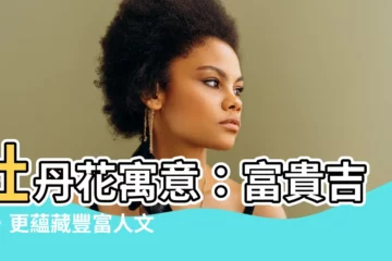 【牡丹花寓意】牡丹花寓意：富貴吉祥，更藴藏豐富人文精神