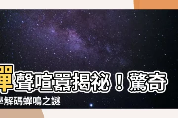 【蟬叫聲原因】蟬聲喧囂揭秘！驚奇科學解碼蟬鳴之謎