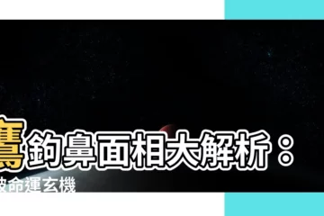 【鷹鈎鼻面相】鷹鈎鼻面相大解析：堪破命運玄機
