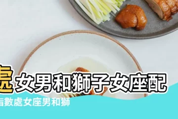 【男獅子和女處女座男】處女男和獅子女座配對指數處女座男和獅子座女合適嗎 |友情要比愛情穩固的多 |處女座男配獅子座女 |