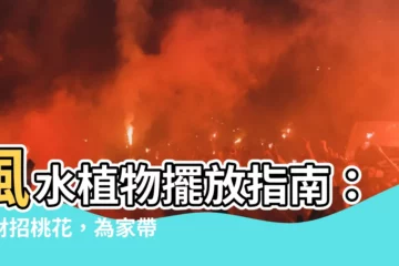 【風水植物】風水植物擺放指南：招財招桃花，為家帶來好運！