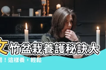 【文竹盆栽】文竹盆栽養護秘訣大公開！這樣養，輕鬆爆盆超翠綠！