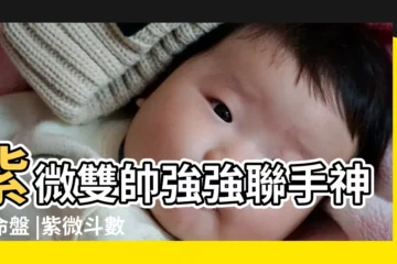 【紫微鬥數命看大運流年】紫微雙帥強強聯手神算命盤 |紫微斗數大運 |十年大運原來這樣看 |