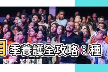 【月季】月季養護全攻略：種植、照顧、繁殖到開花，一網打盡！