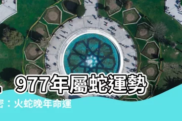 【1977年五行屬什麼】1977年屬蛇運勢解密：火蛇晚年命運大揭秘