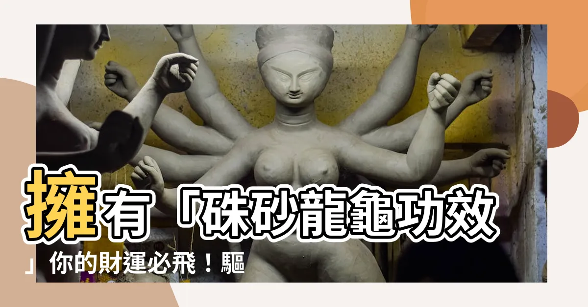 【硃砂龍龜功效】擁有「硃砂龍龜功效」你的財運必飛！驅邪招財擺放方式大公開！