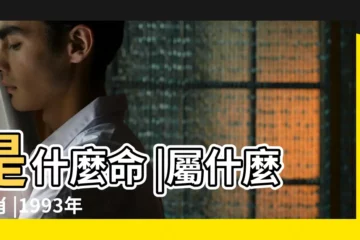 【93年7月28農曆】是什麼命 |屬什麼生肖 |1993年7月28日出生的人命好嗎 |