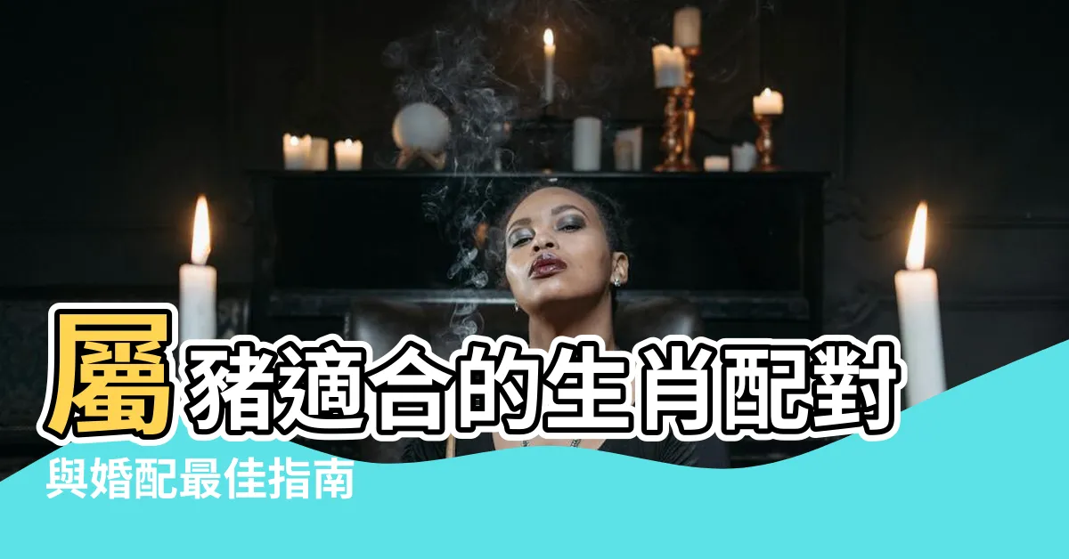 【屬豬適合的生肖】屬豬適合的生肖配對與婚配最佳指南
