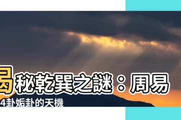 【乾巽】揭秘乾巽之謎：周易第44卦姤卦的天機