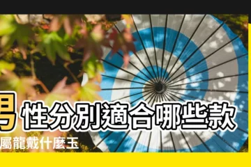 【1988年屬龍的男人買什麼避邪】男性分別適合哪些款式 |屬龍戴什麼玉佩合適 |1988屬龍男本命年戴什麼比較好 |