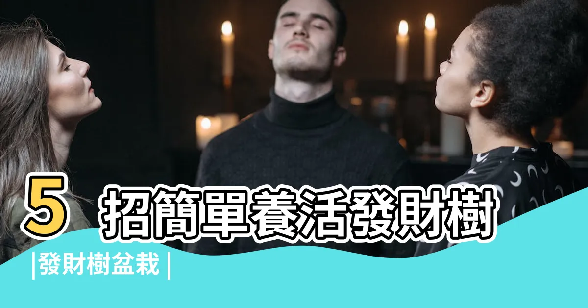 【盆栽發財樹種類】5招簡單養活發財樹 |發財樹盆栽 |放辦公室招財又化煞 |