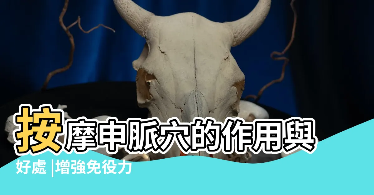 【申脈穴位置】按摩申脈穴的作用與好處 |增強免役力 |灸一灸申脈穴 |