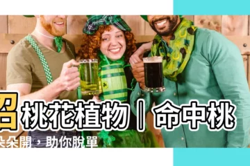 【招桃花 植物】招桃花植物｜命中桃花朵朵開，助你脱單、旺人緣